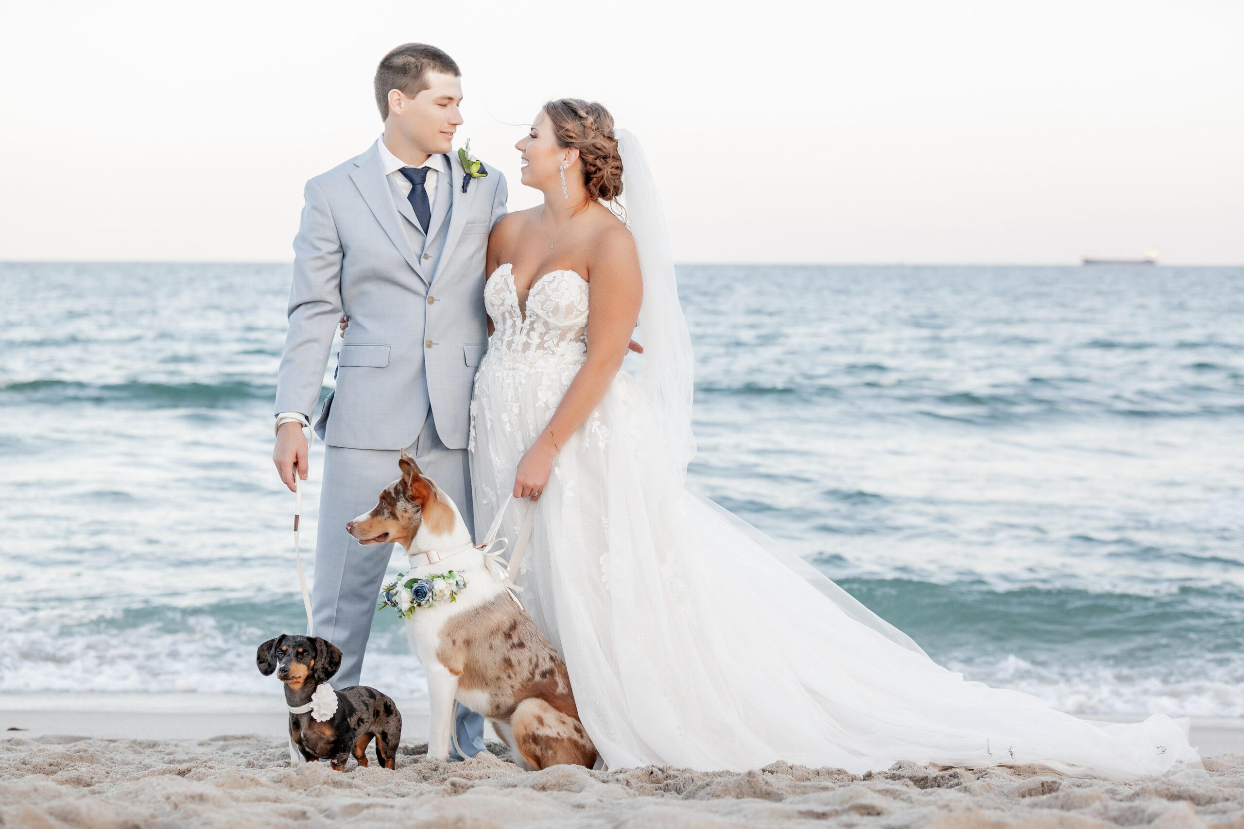 Dog Friendly Beach Wedding | Wedding Bells & Seashells